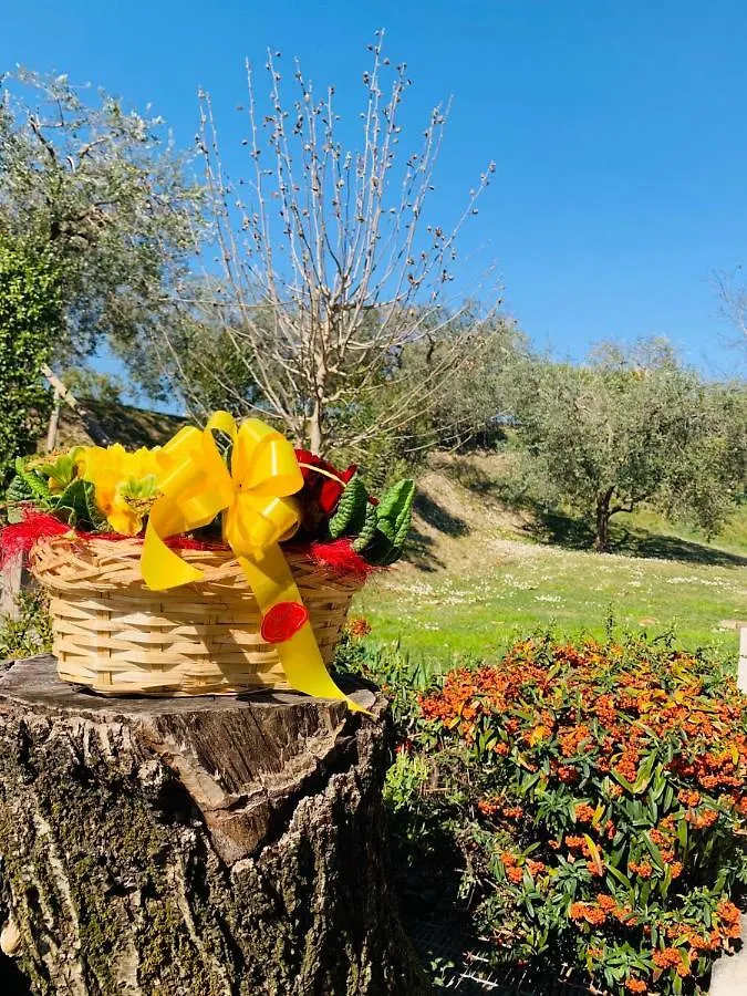 Agriturismo Le Tese Guest House Cola איטליה