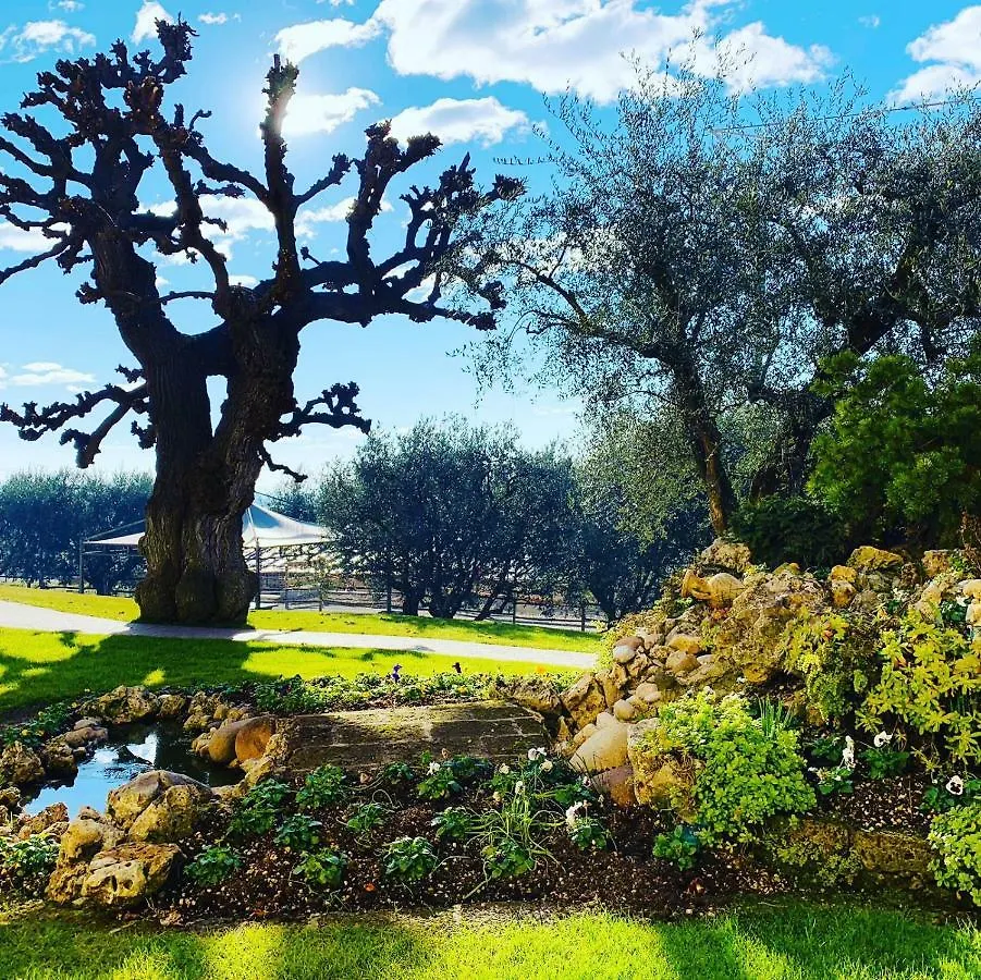 Agriturismo Le Tese Cola  Cola (Verona)